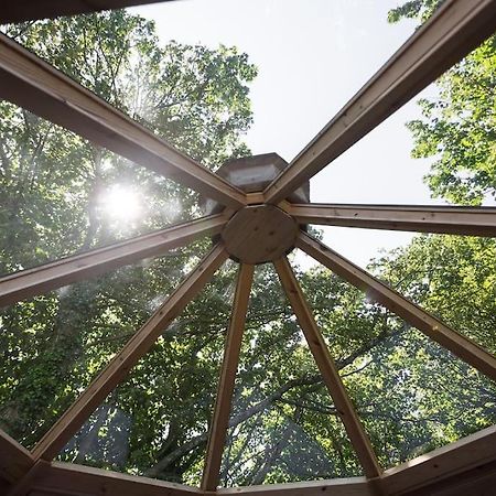 Praze an Beeble Romantic Treehouse With Hot Tub & Bbq Lodge מראה חיצוני תמונה